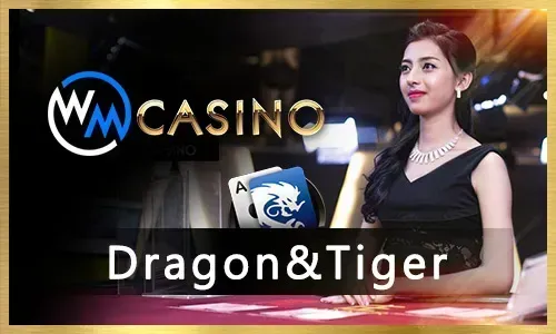 Online Casino Strategy Guide
